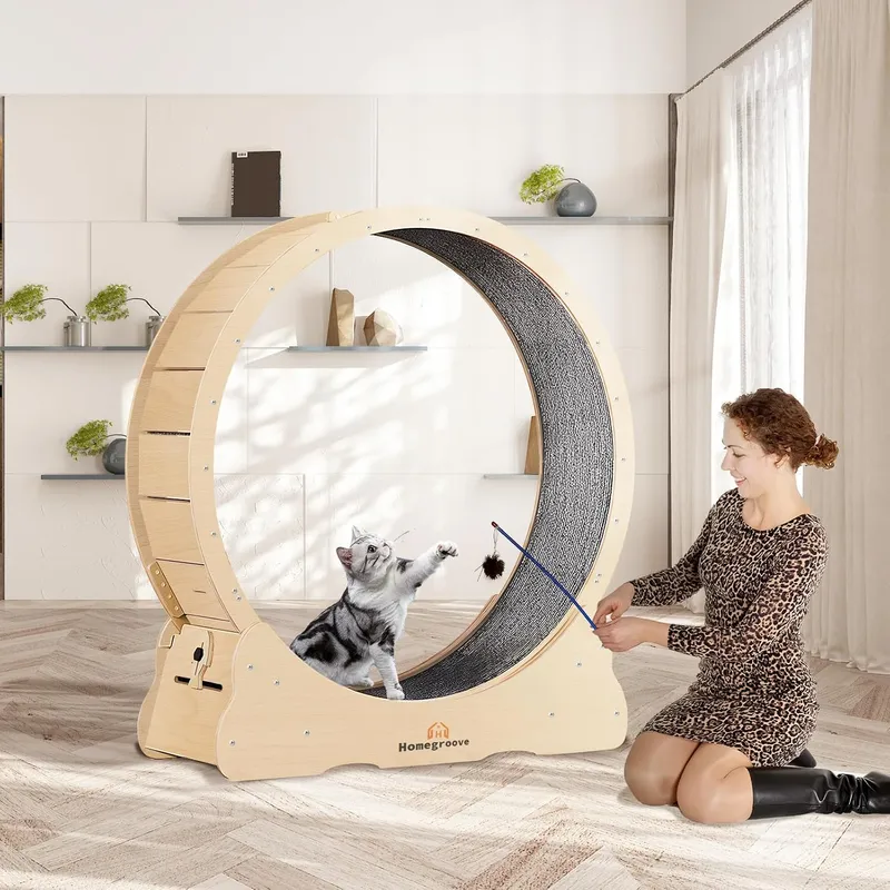 Cat Exercise Wheel Treadmill