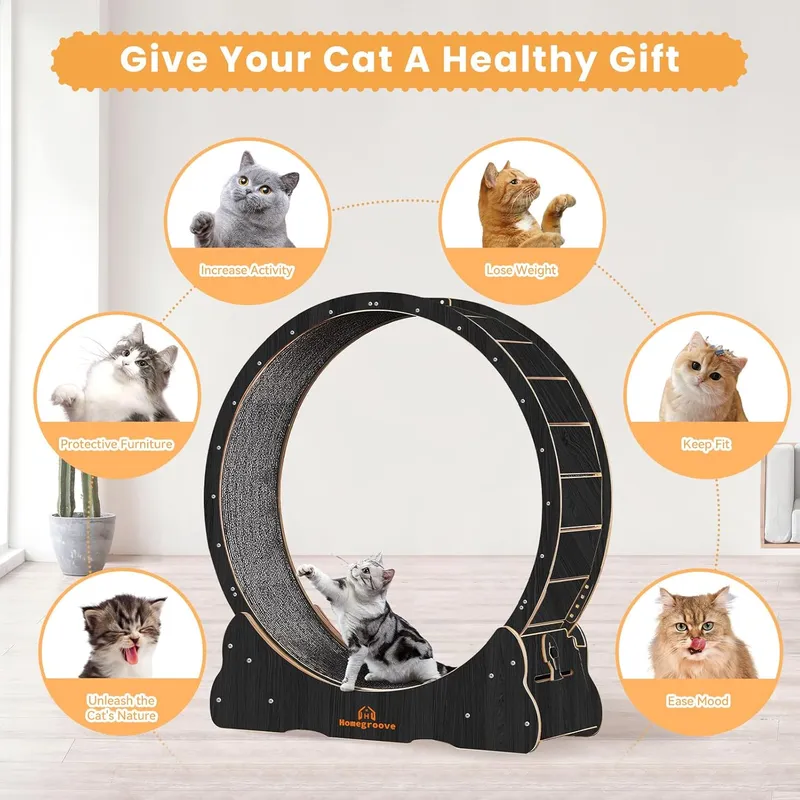 Homegroove Cat Exercise Wheel Treadmill