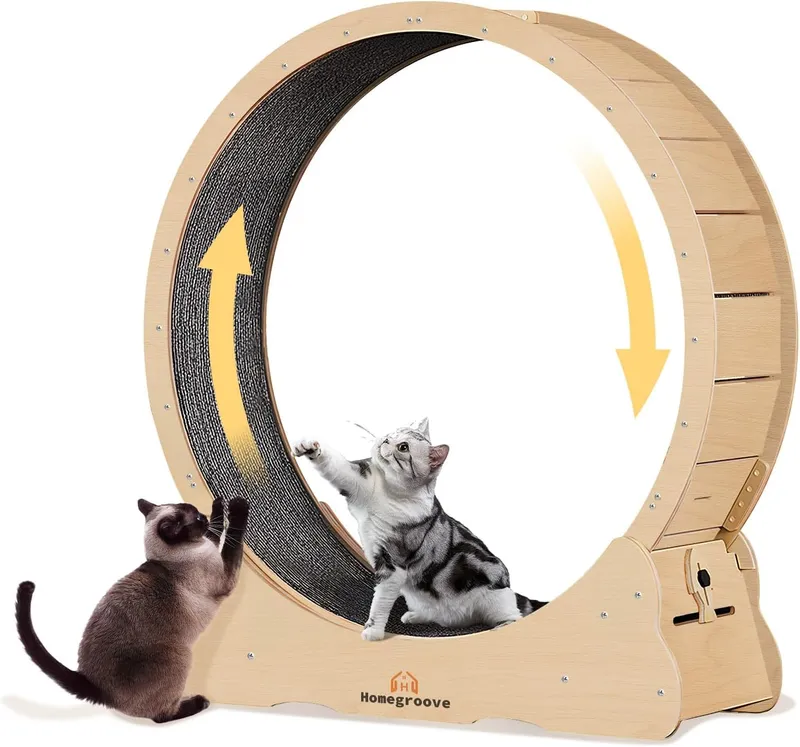 Homegroove Cat Exercise Wheel for Indoor Cats, 47 INCH
