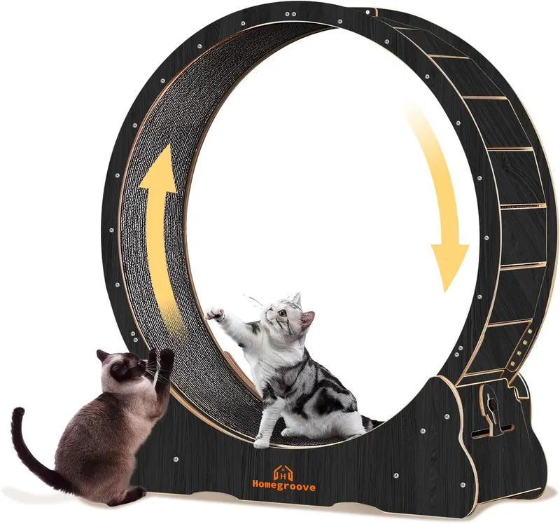 Homegroove Cat Wheels for Indoor Cats, 43 INCH 