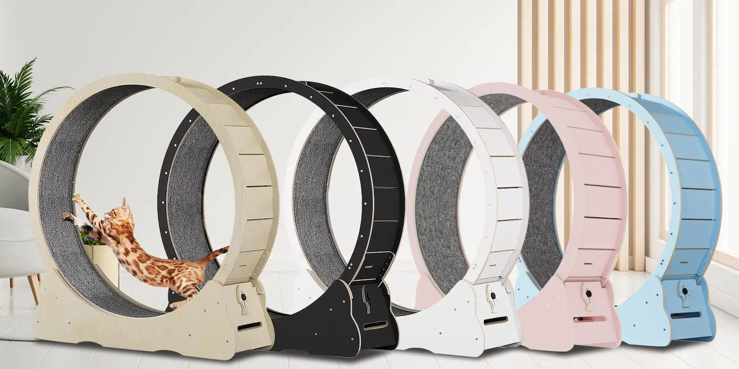 Homegroove Cat Wheels